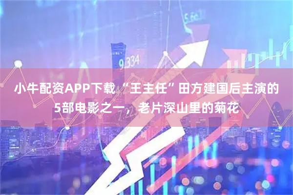 小牛配资APP下载 “王主任”田方建国后主演的5部电影之一，老片深山里的菊花