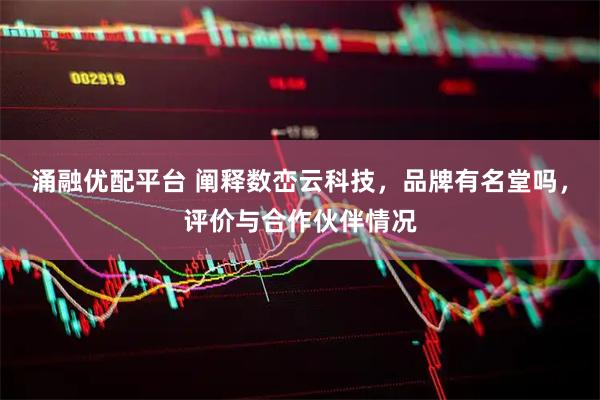 涌融优配平台 阐释数峦云科技，品牌有名堂吗，评价与合作伙伴情况