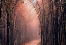 利用杠杆原理的工具:炒股杠杆平台排名-谁是“车企一哥”？比亚迪“老对手”发力 合资车龙头吹响反攻号角